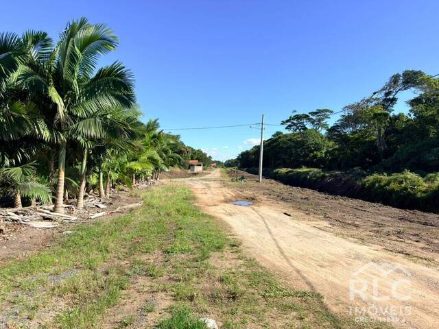 Área para Venda em Balneário Barra do Sul - 5