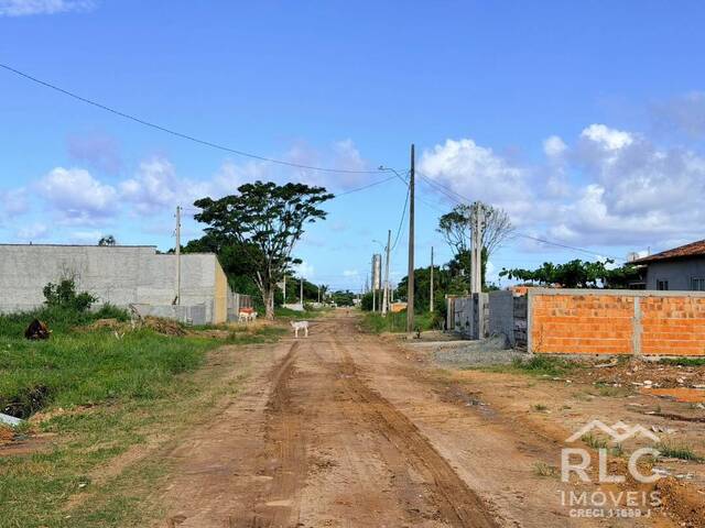 #0106 - Terreno para Venda em Balneário Barra do Sul - SC - 1