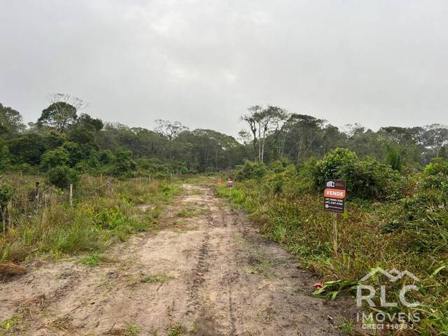 #0128 - Terreno para Venda em Balneário Barra do Sul - SC - 3