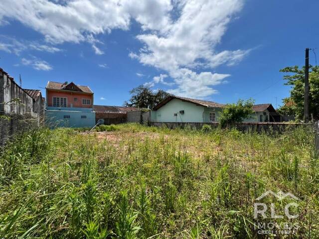 #0136 - Terreno para Venda em Balneário Barra do Sul - SC - 3