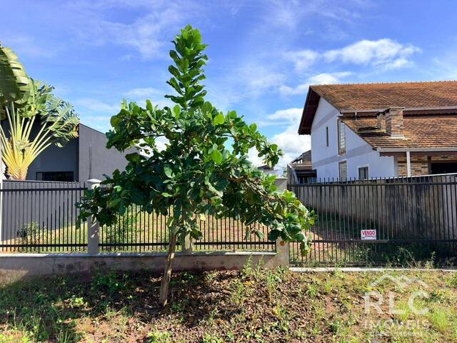 Terreno para Venda em Balneário Barra do Sul - 2