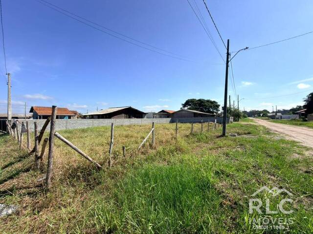 Terreno para Venda em Balneário Barra do Sul - 4