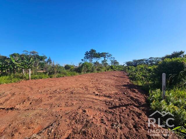 #0182 - Terreno para Venda em Balneário Barra do Sul - SC - 2