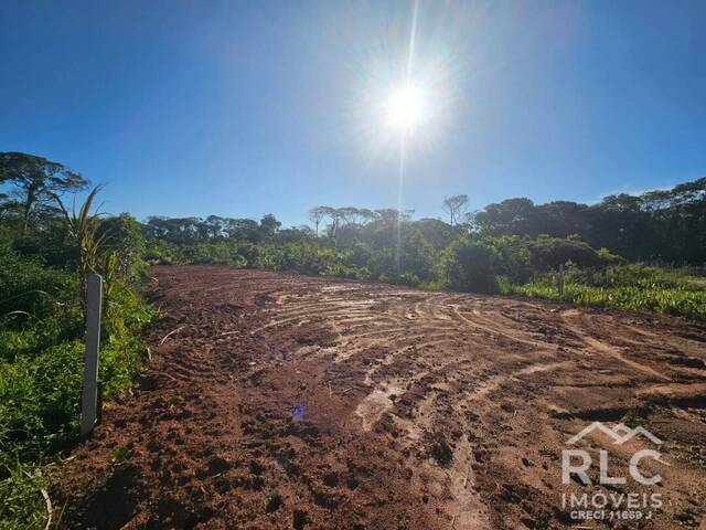 #0182 - Terreno para Venda em Balneário Barra do Sul - SC - 3