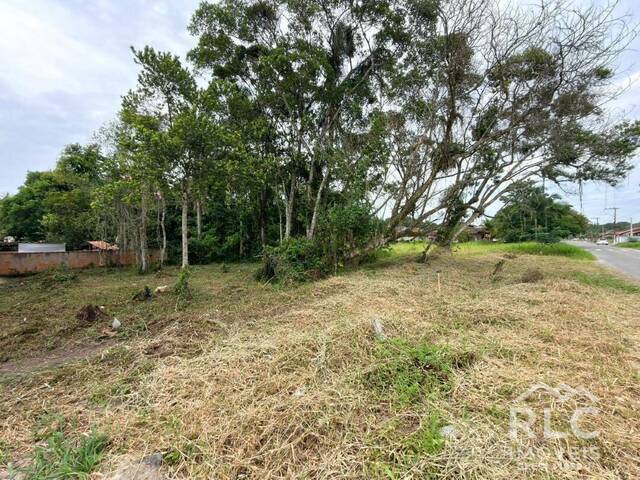 #0115 - Terreno para Venda em Balneário Barra do Sul - SC - 3