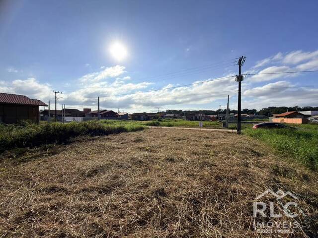#0230 - Terreno para Venda em Balneário Barra do Sul - SC - 2