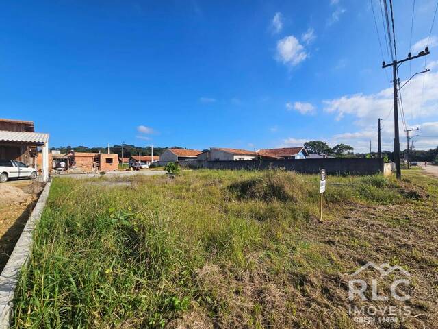 #0232 - Terreno para Venda em Balneário Barra do Sul - SC - 3