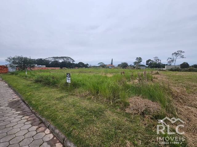Terreno para Venda em São Francisco do Sul - 3