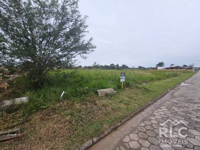 Terreno para Venda em São Francisco do Sul - 2
