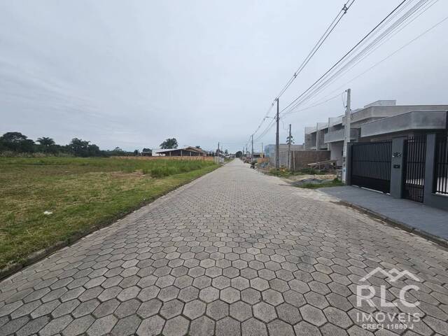 Venda em Reta - São Francisco do Sul