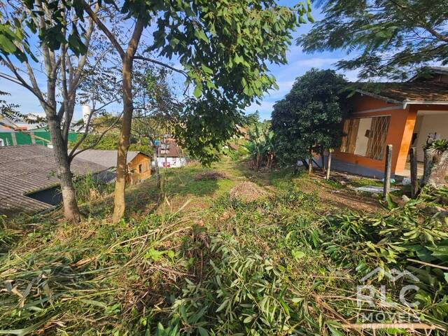 Terreno para Venda em Araquari - 3