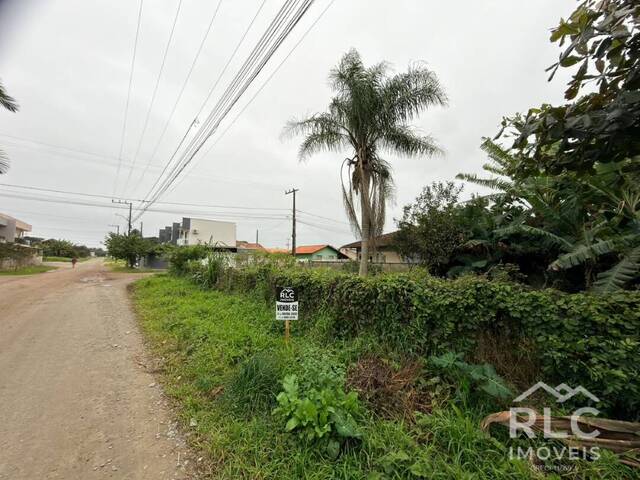 Terreno para Venda em Balneário Barra do Sul - 3