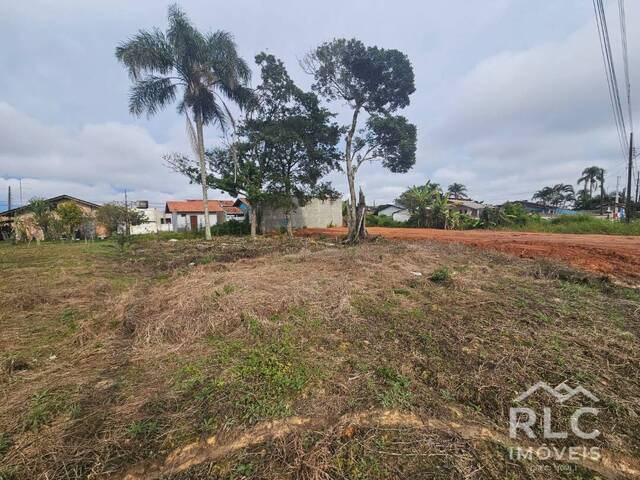 Terreno para Venda em Balneário Barra do Sul - 2