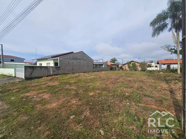 Terreno para Venda em Balneário Barra do Sul - 2