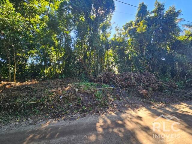 Terreno para Venda em Balneário Barra do Sul - 2