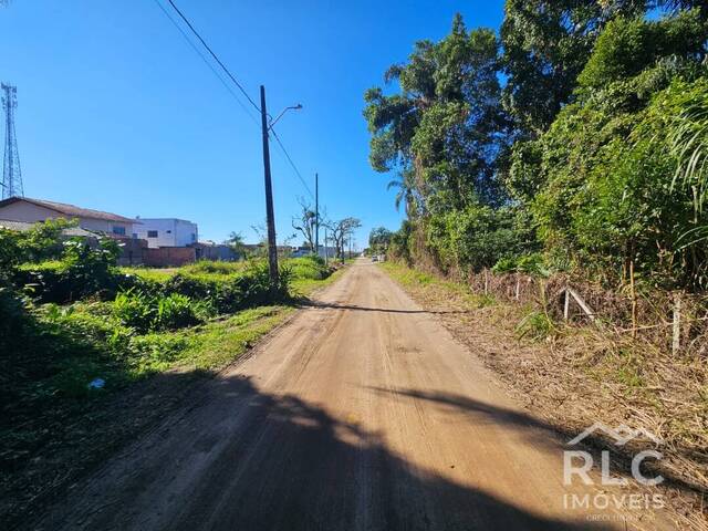 Terreno para Venda em Balneário Barra do Sul - 4