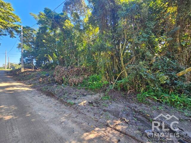 Terreno para Venda em Balneário Barra do Sul - 3