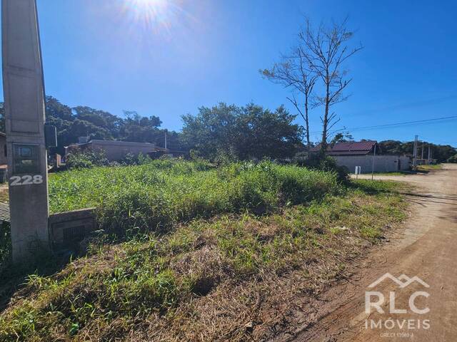 Terreno para Venda em Balneário Barra do Sul - 4