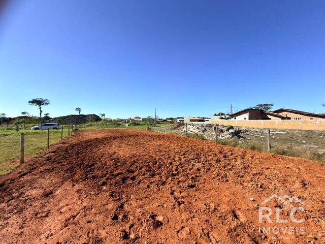 Terreno para Venda em Balneário Barra do Sul - 3