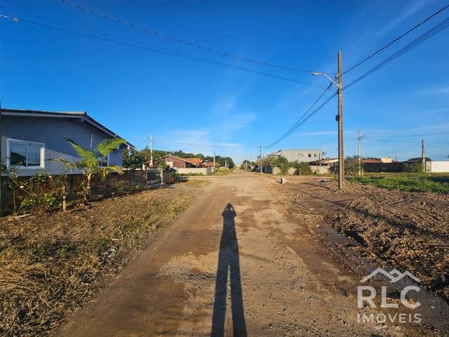 Terreno para Venda em Balneário Barra do Sul - 4