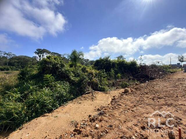 Terreno para Venda em Balneário Barra do Sul - 4