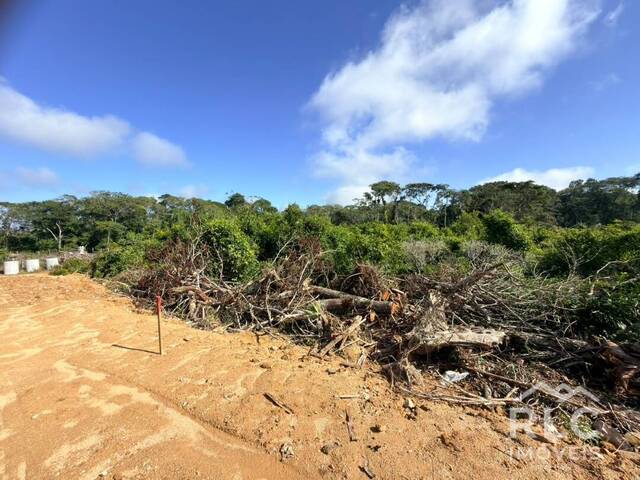 Terreno para Venda em Balneário Barra do Sul - 2
