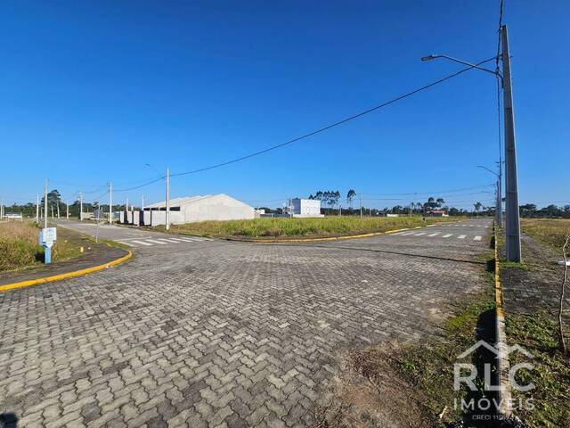 Terreno para Venda em Araquari - 3
