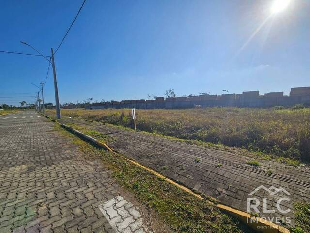 Terreno para Venda em Araquari - 4