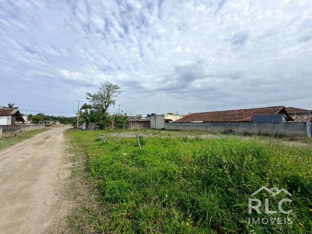 #0305 - Terreno para Venda em Balneário Barra do Sul - SC - 3