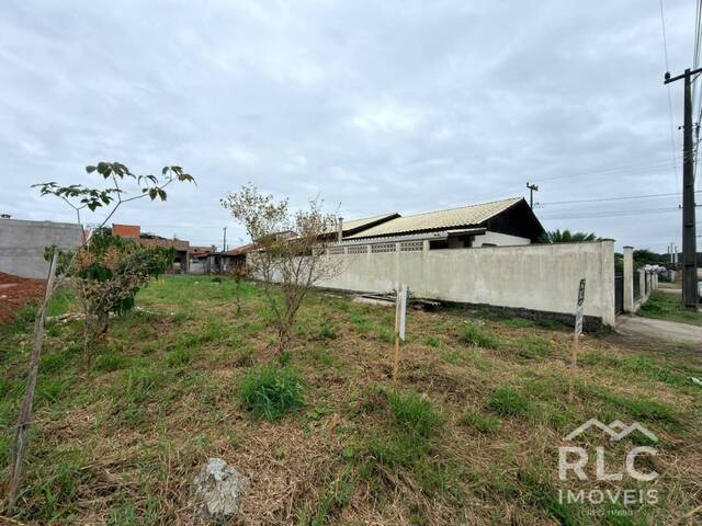 #0309 - Terreno para Venda em Balneário Barra do Sul - SC - 3