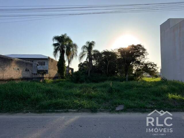#0315 - Área para Venda em Balneário Barra do Sul - SC - 1