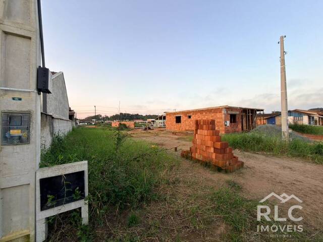 #0318 - Terreno para Venda em Balneário Barra do Sul - SC - 3