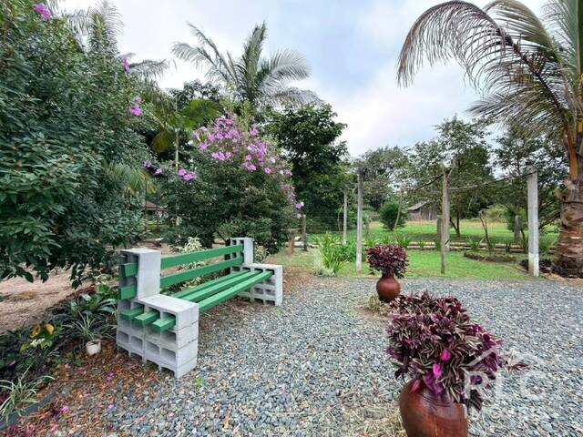 Chácara para Venda em Balneário Barra do Sul - 4
