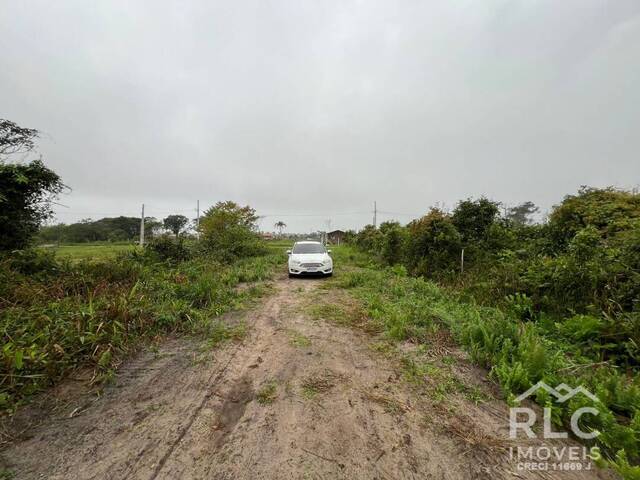 Terreno para Venda em Balneário Barra do Sul - 4