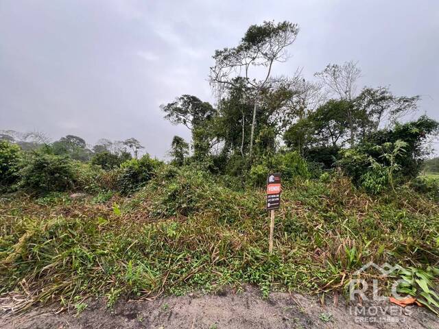 #0131 - Terreno para Venda em Balneário Barra do Sul - SC - 1